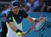 开云体育app-关于日本网球队力克英国网球队，穆雷制霸全场的信息