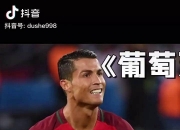 开云体育APP下载-挪威翻盘奥地利，C罗刷新纪录