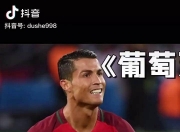 开云体育APP下载-挪威翻盘奥地利，C罗刷新纪录