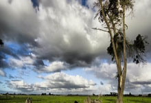 开云体育入口-包含C9绝地反击FNC，Faker惊艳世界的词条