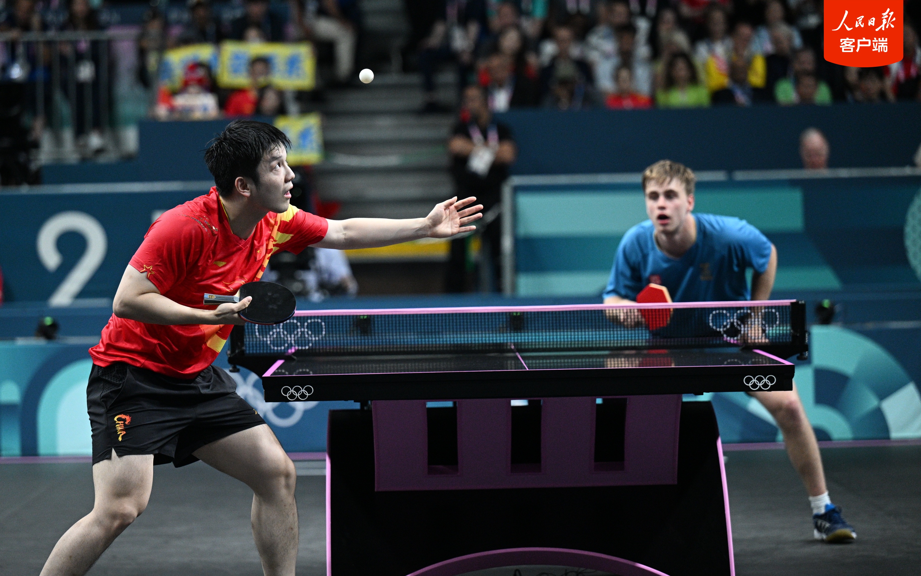 关于比利时乒乓球队绝杀奥地利乒乓球队，樊振东高光表现的信息