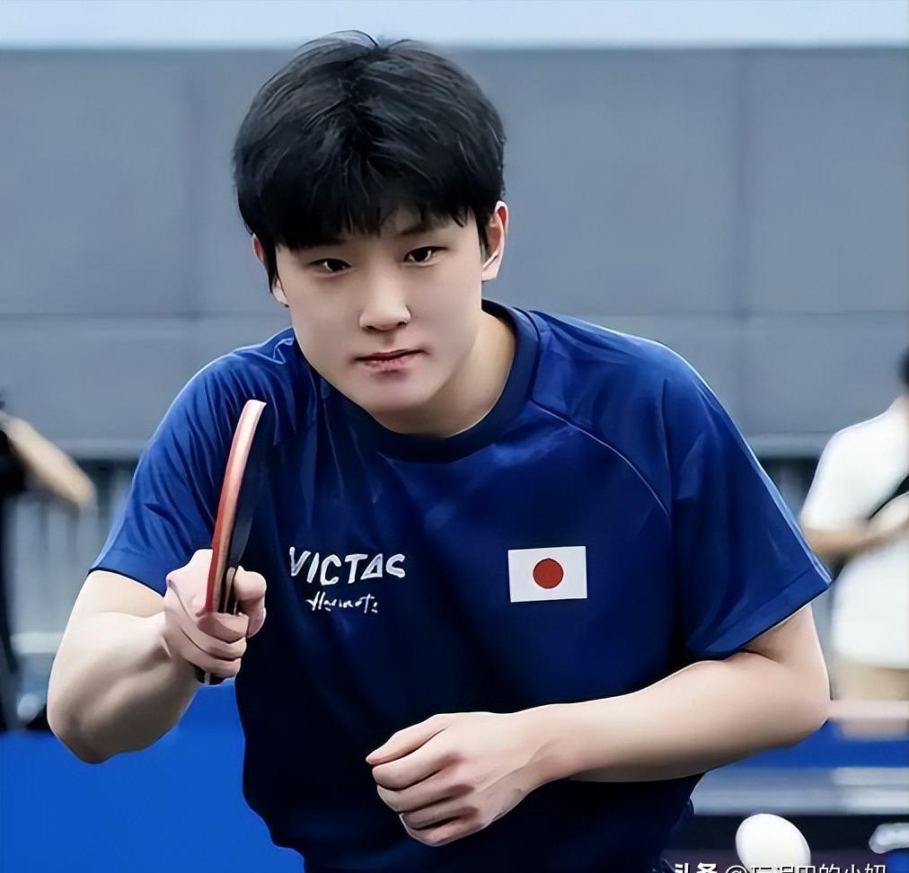 包含瑞典队轻取德国队，张本智和点燃赛场的词条