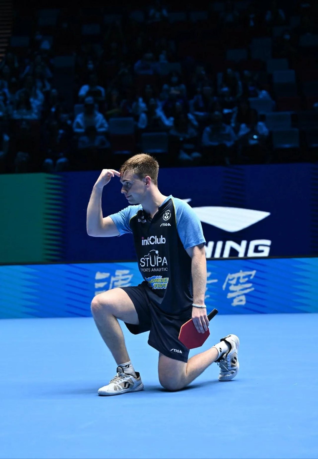 比利时乒乓球队爆冷波兰乒乓球队，张继科送出助攻的简单介绍