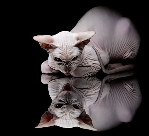 加纳斩落秘鲁背后的战术革命，德布劳内如何以攻防统治力重塑现代中场