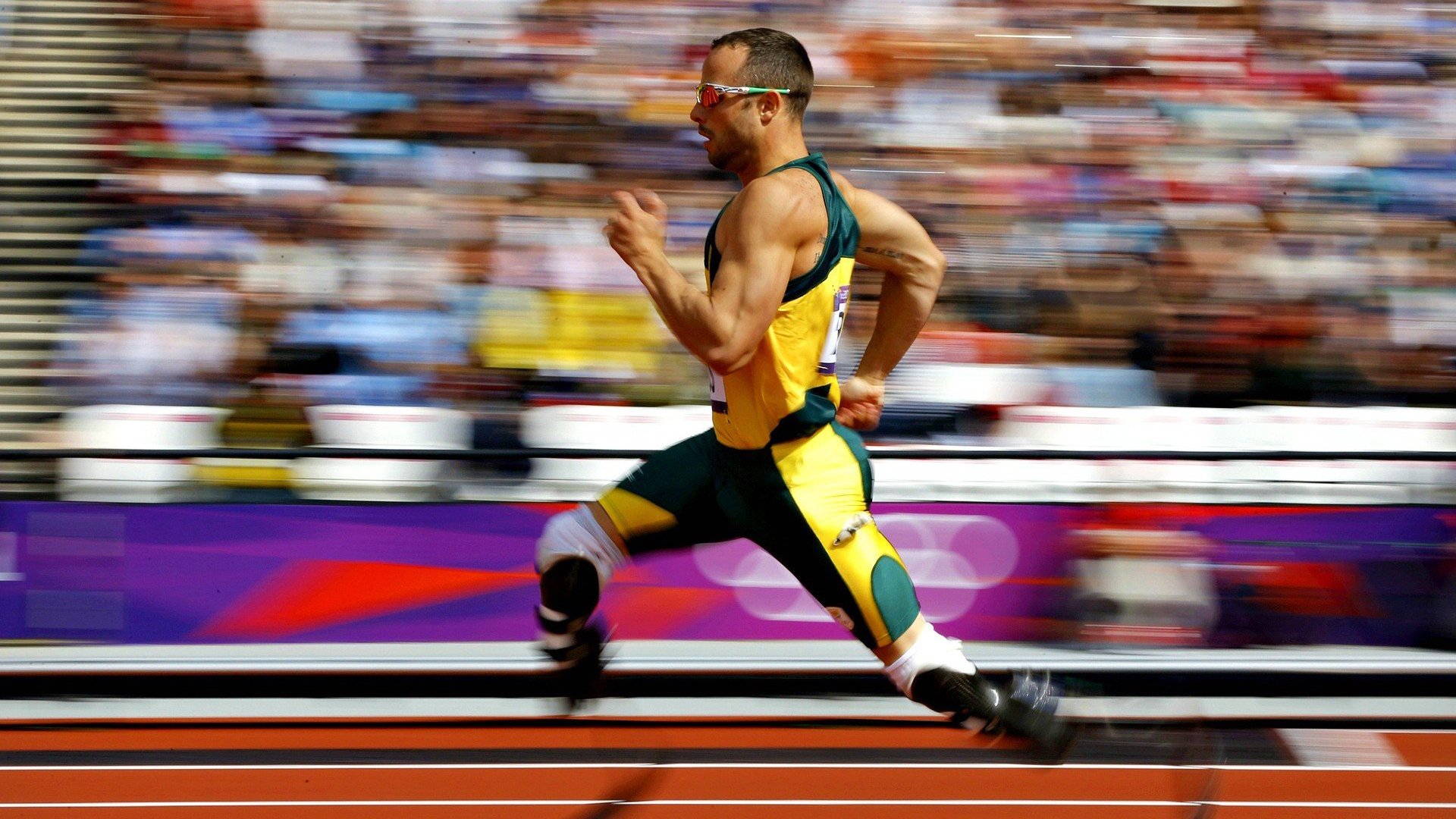 从国王速胜到欧冠接管，爱德华兹的王者之路与竞技体育的胜利哲学