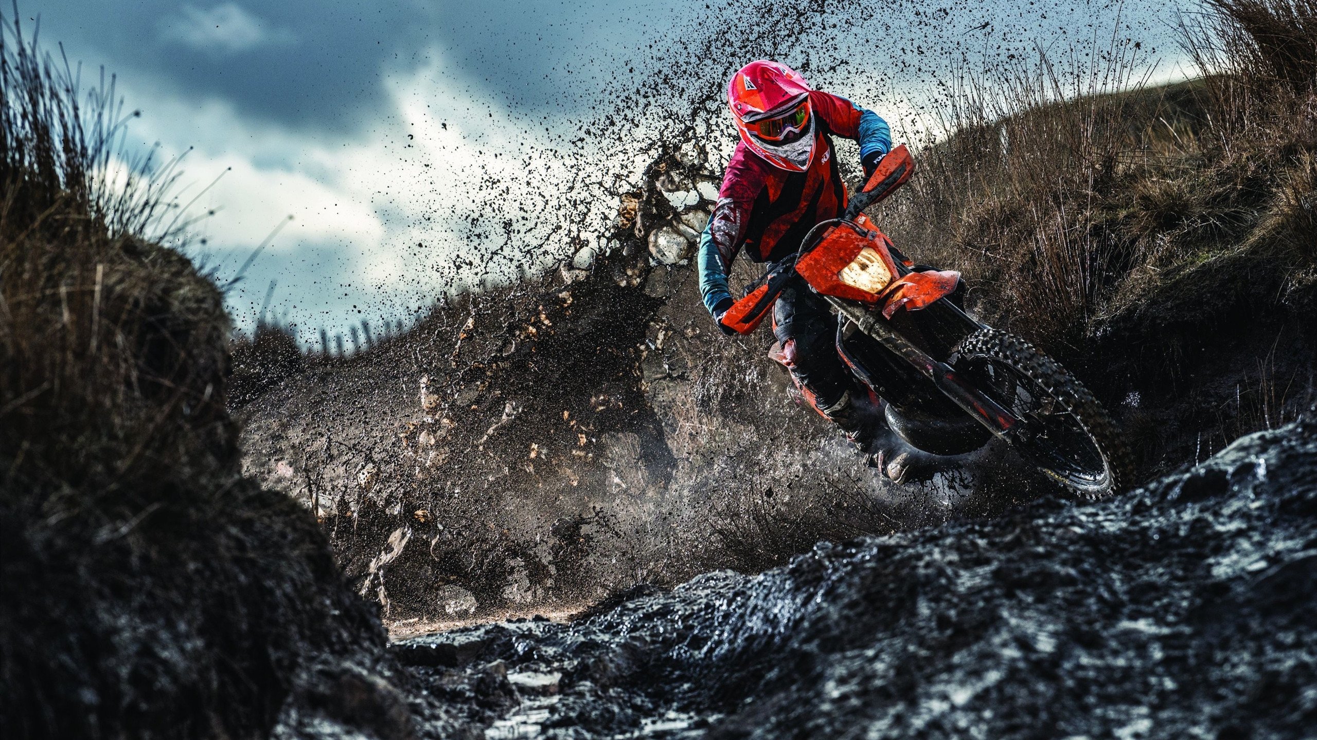 森林狼一波带走篮网，字母哥成为关键先生